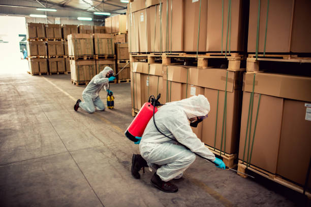 Professional Pest Control in Waikele, HI
