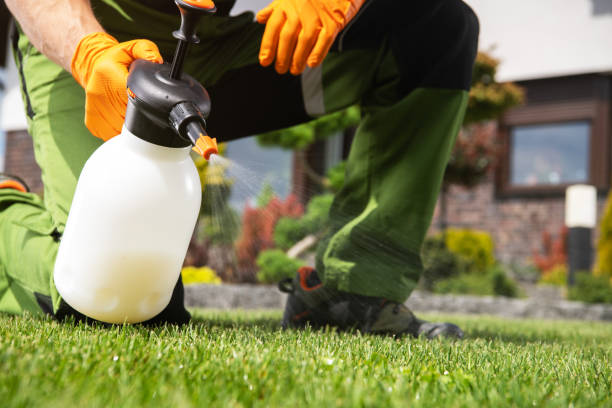 Best Termite Control Services  in Waikele, HI